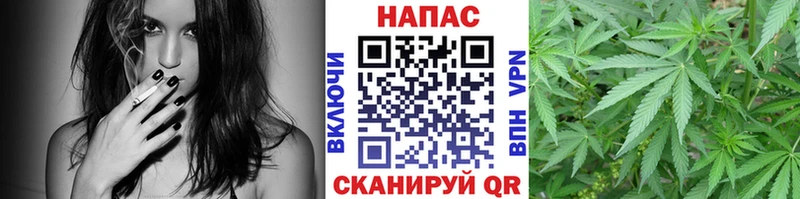 Где найти наркотики Западная Двина COCAIN А ПВП Меф ГАШИШ АМФЕТАМИН Канабис