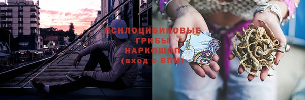 шишки Дмитров