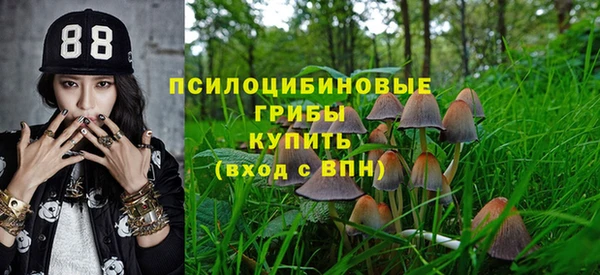 шишки Фурманов