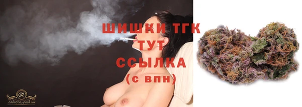 шишки Дмитров