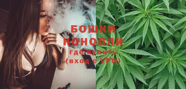 шишки Дмитров