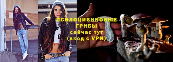 шишки Дмитров