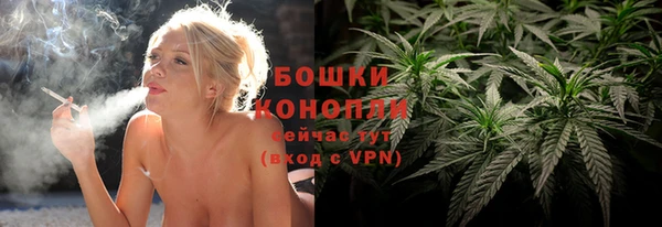 шишки Дмитров