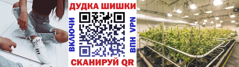 Бошки Шишки SATIVA & INDICA  kraken   Западная Двина 